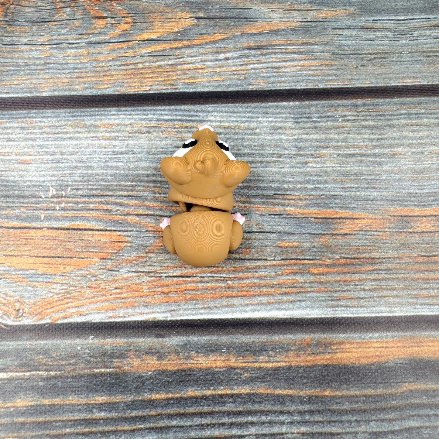 Guinea Pig Articulated 3D Printed Fidget Figure