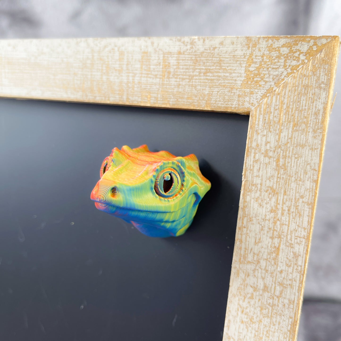 Gargoyle Gecko 3D Printed Magnet