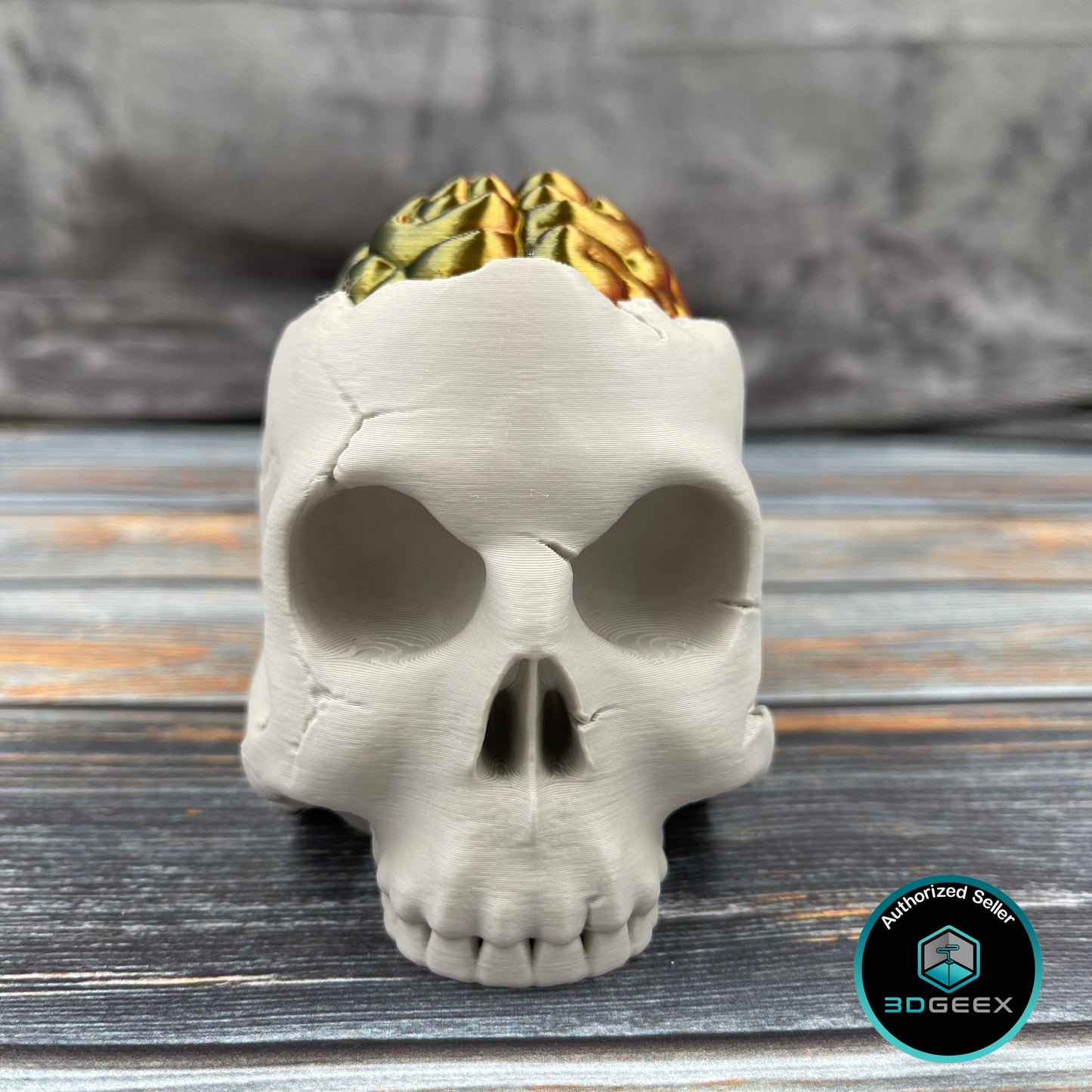 Skull Storage Box with Brain Lid