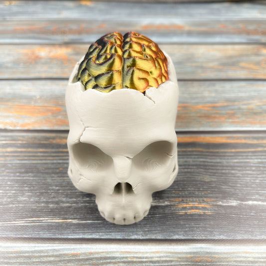 Skull Storage Box with Brain Lid