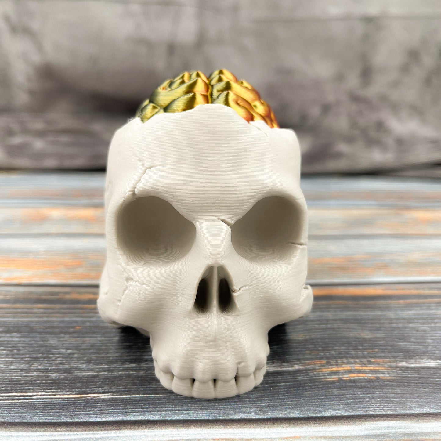 Skull Storage Box with Brain Lid