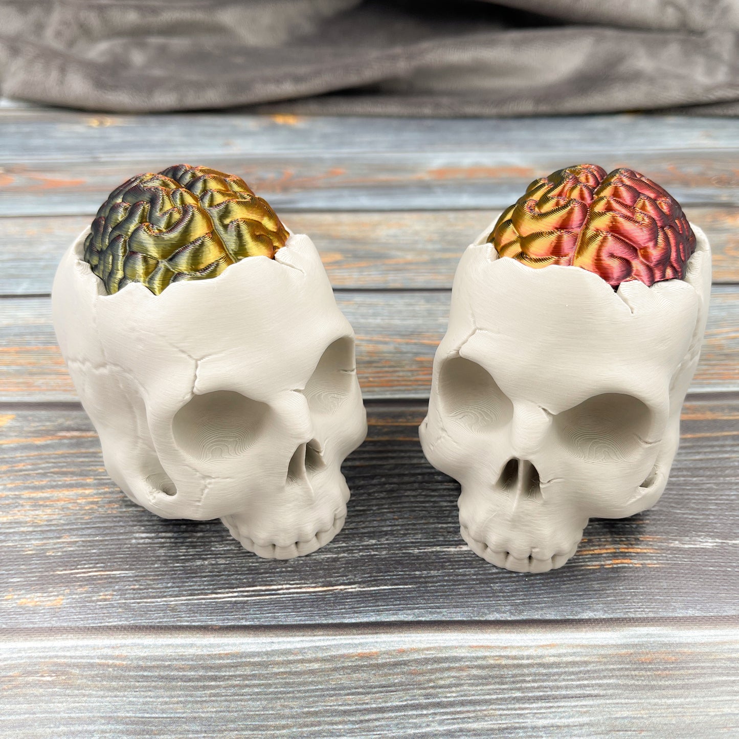 Skull Storage Box with Brain Lid