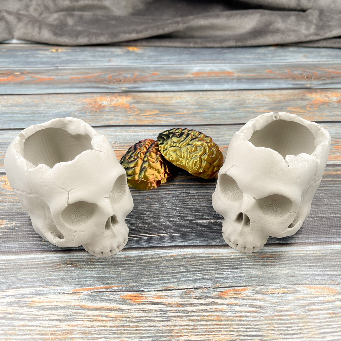 Skull Storage Box with Brain Lid