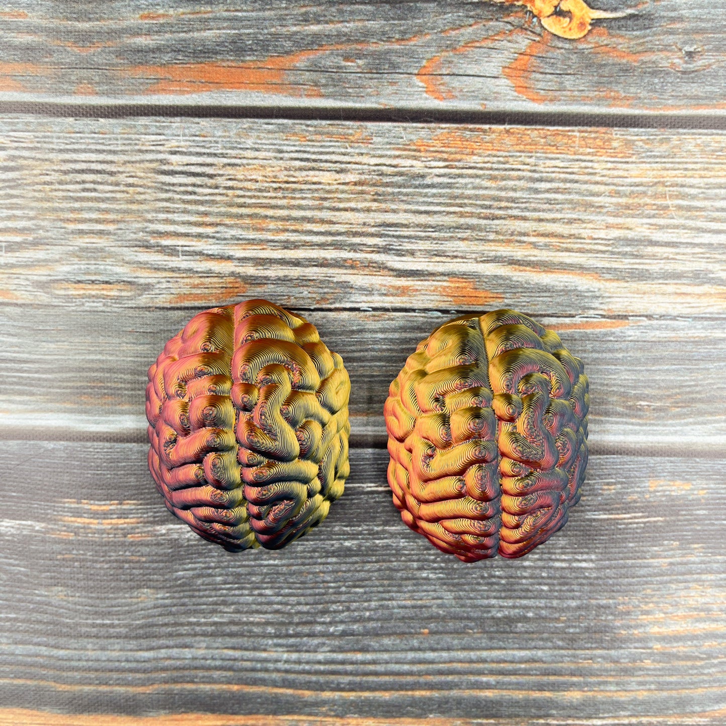 Skull Storage Box with Brain Lid